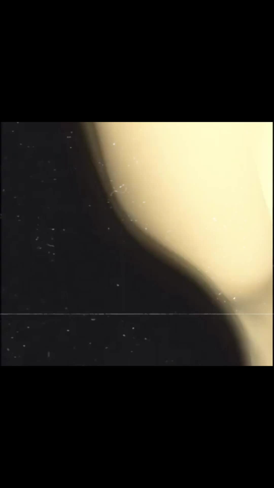 @🕊️