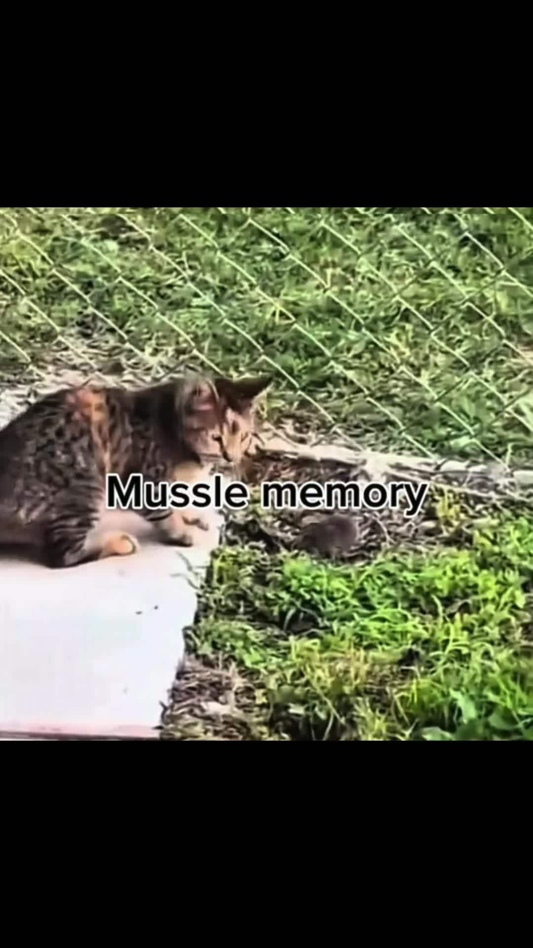 @𝓙𝓢𝓣10𝓔𝓓𝓣𝓩