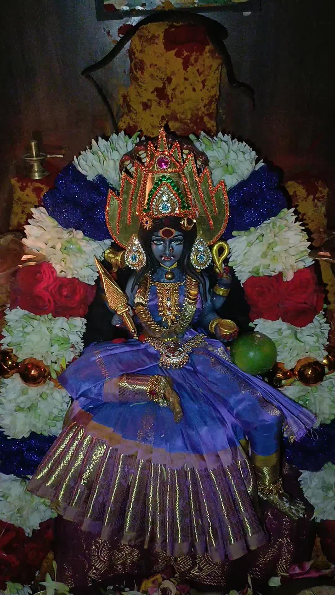 @Ashokkumar 11.11