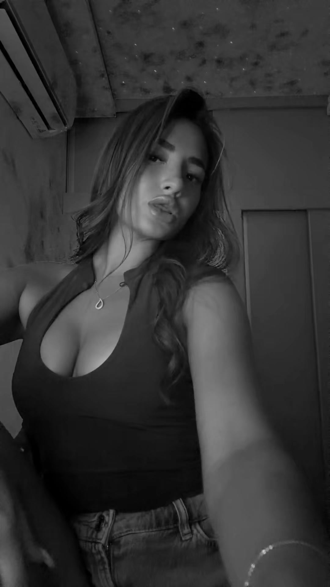 @T🐆