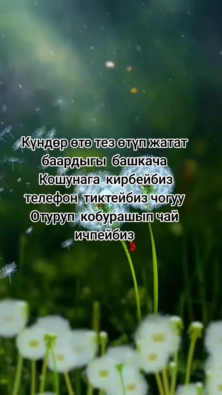 @_Jyldyz31_💕