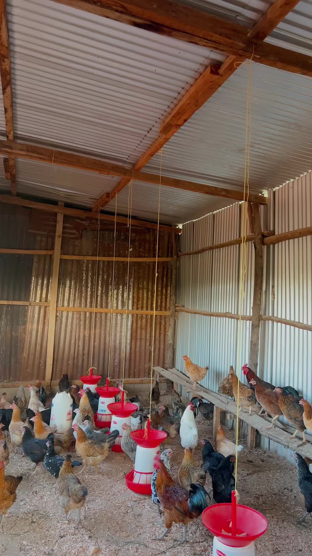 @kimasmartfarmsltd