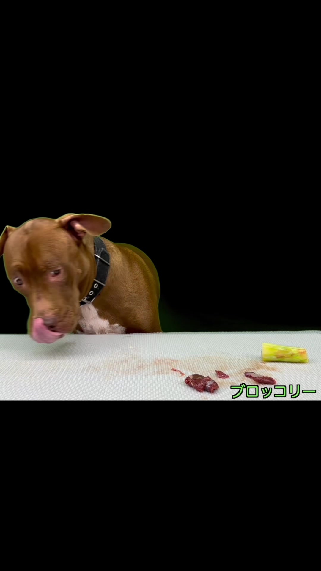 @バウンス　チャンネル