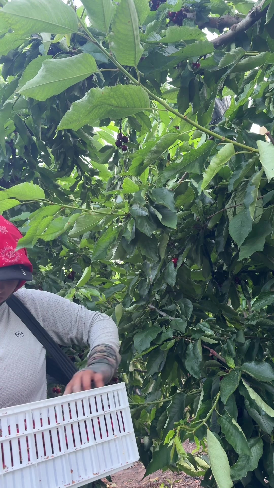 @Tamara Rua Soliz