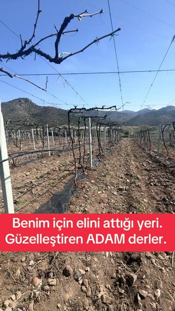 @FİKRET DARENDE