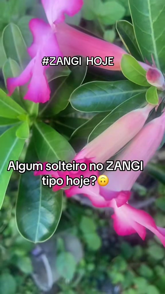 @manuely