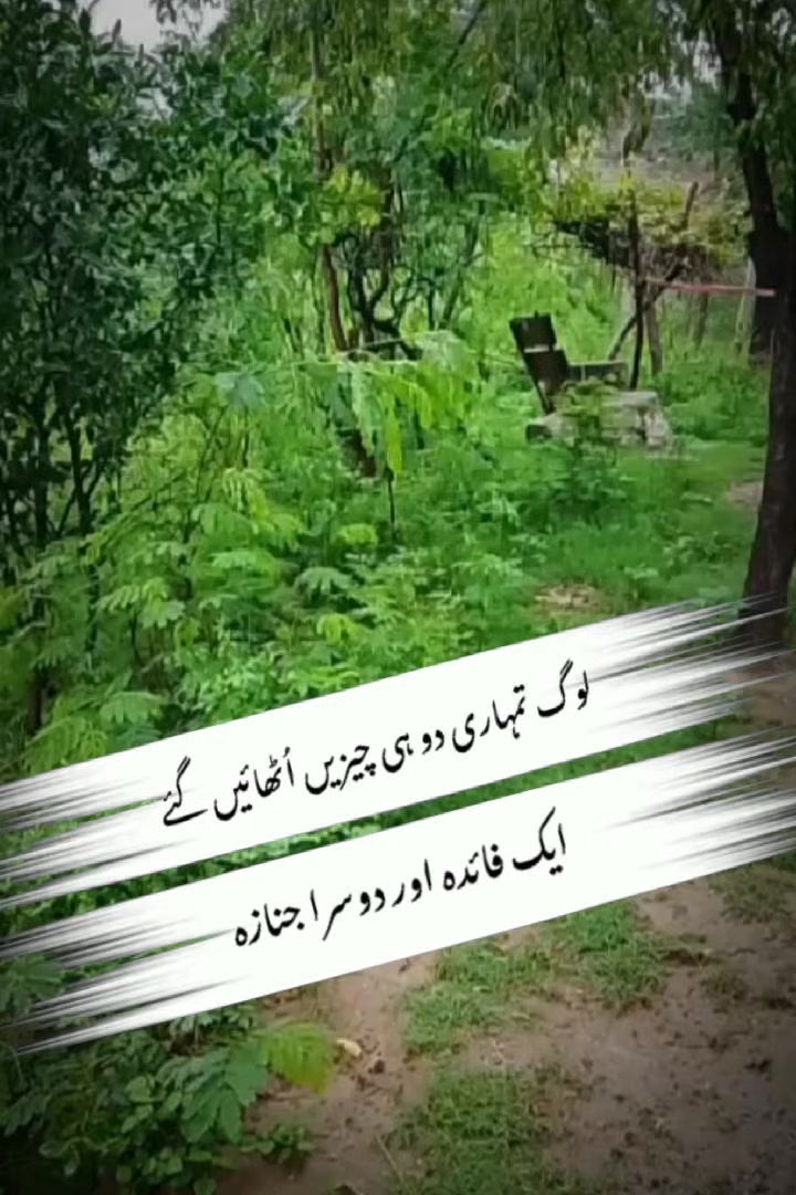 @Sahar Noor