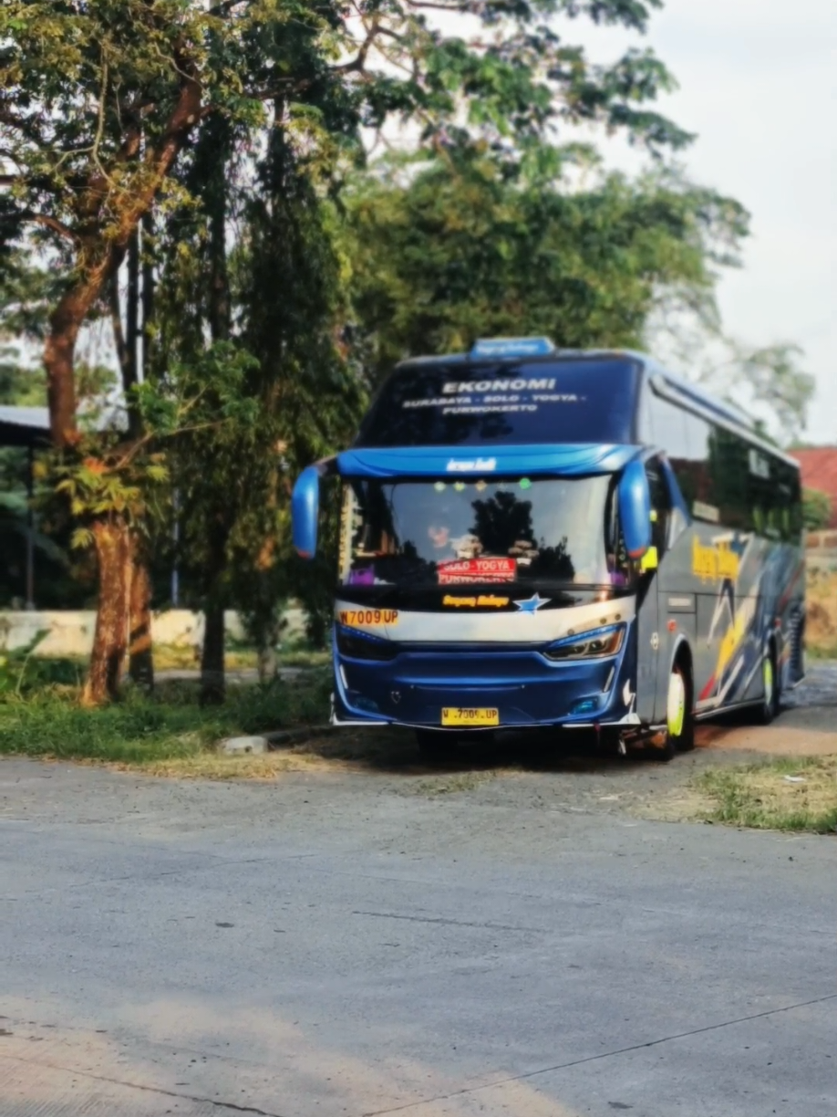 @Mas AWMP