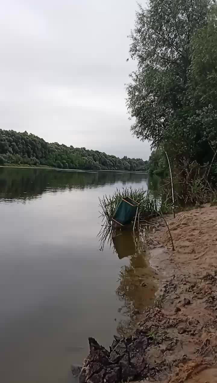 @Роман