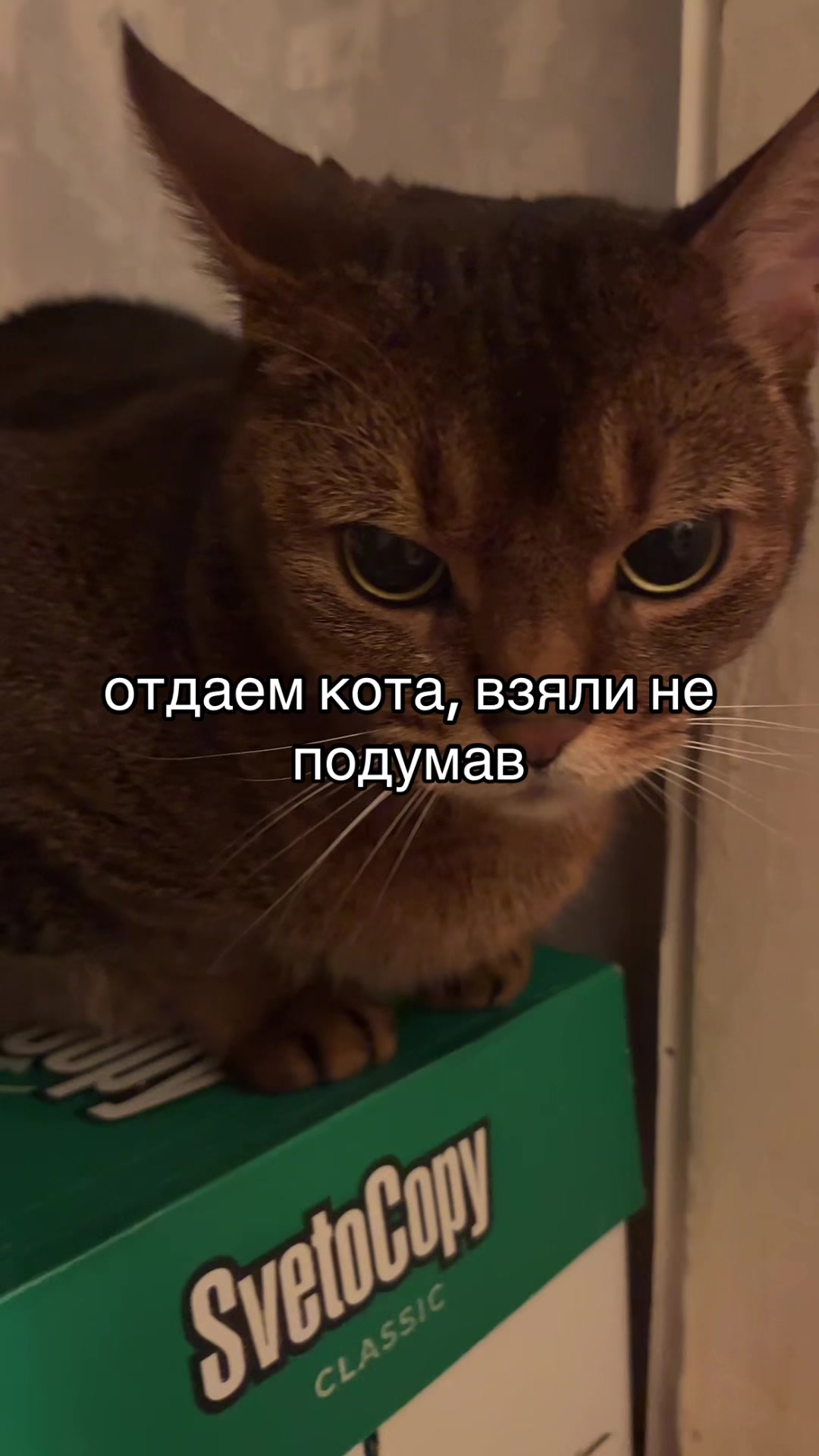 @marie @