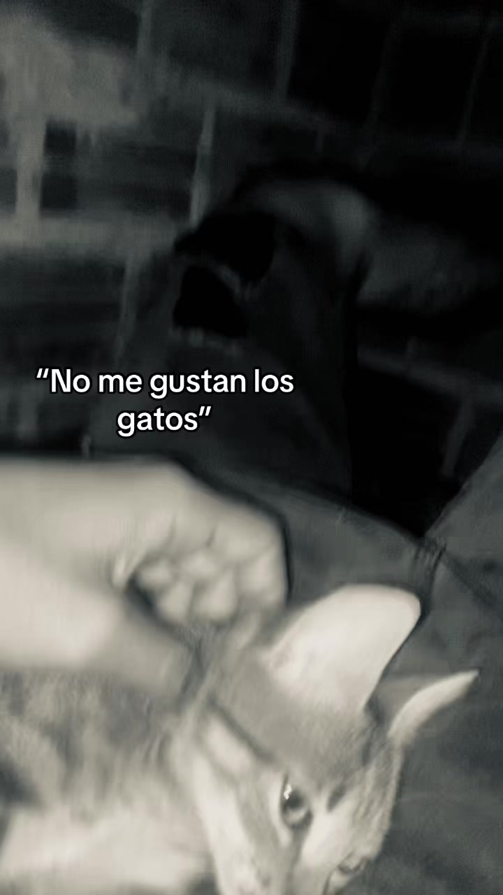 @𝘈𝘥𝘳𝘪𝘢𝘯