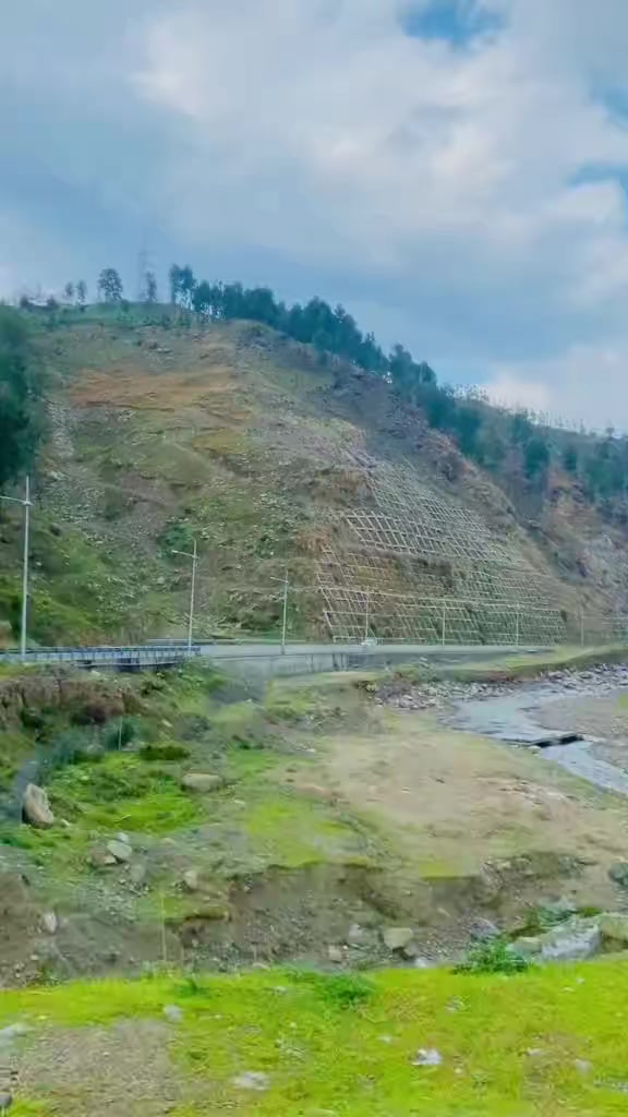 @⛓چوہدری سلمان وینس 🦁
