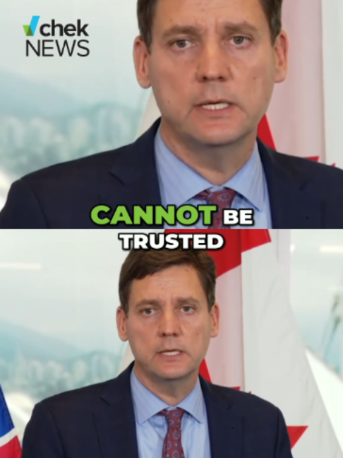 @chekmedia