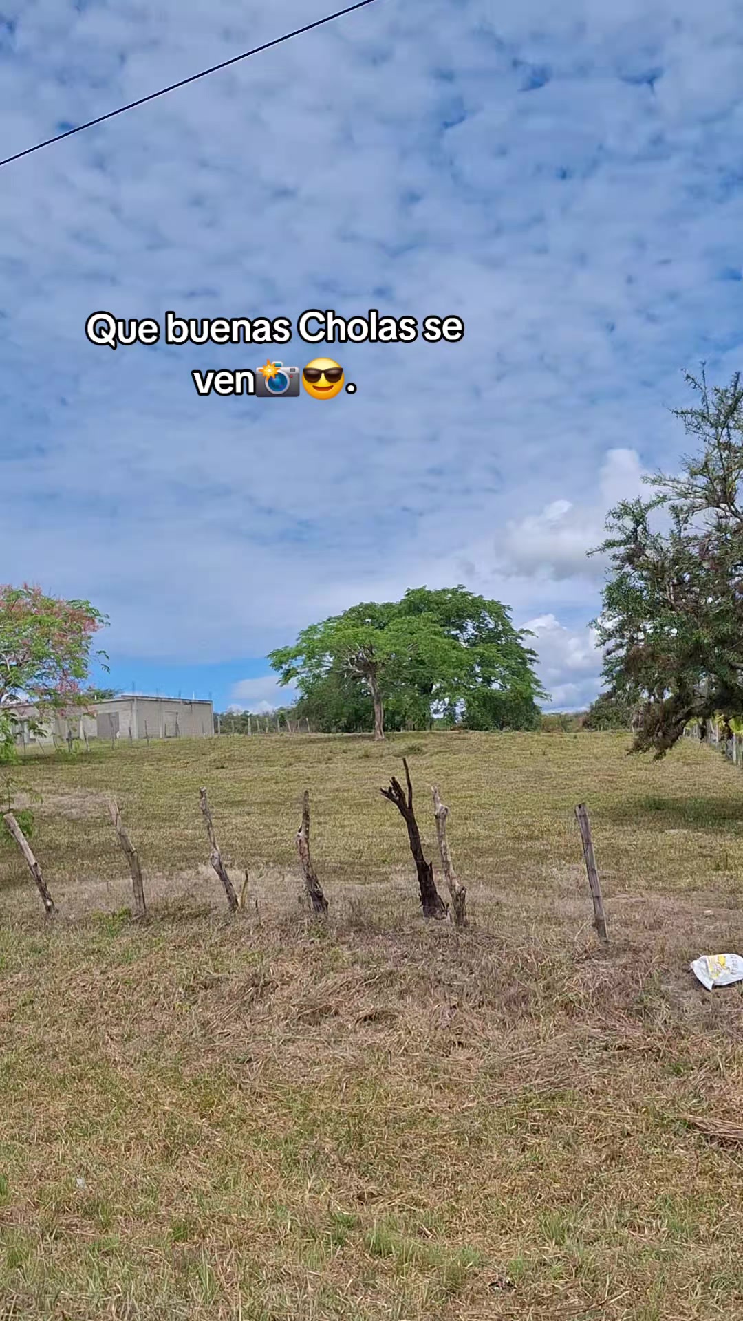 @Tato L&oacute;pez