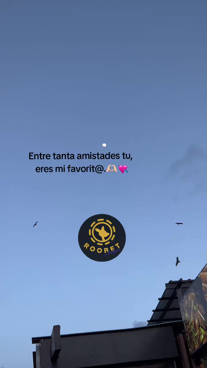 @꧁🧸✨️Tus Frases✨🧸꧂