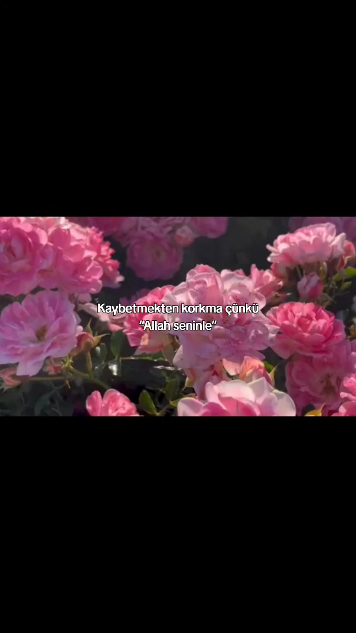 @𝑴𝒂𝒓𝒂𝒍