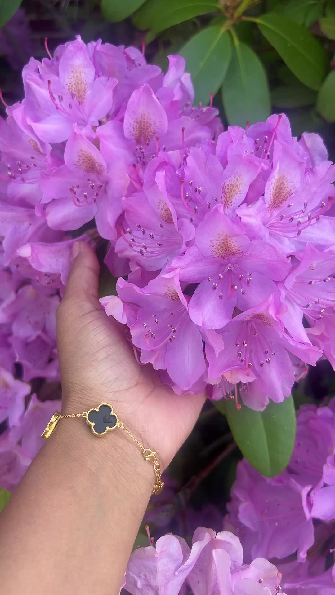 @Kristina🕉️🕉️