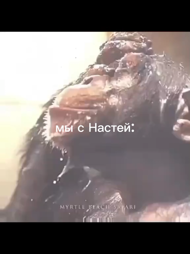 @ʙᥲяᛪ༙