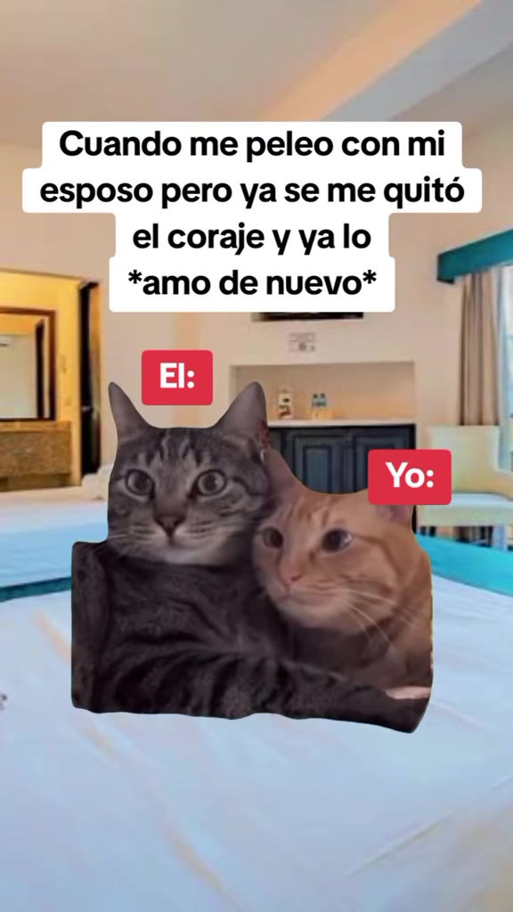 @memestristemariicruz🐈⬛ 🤣😔