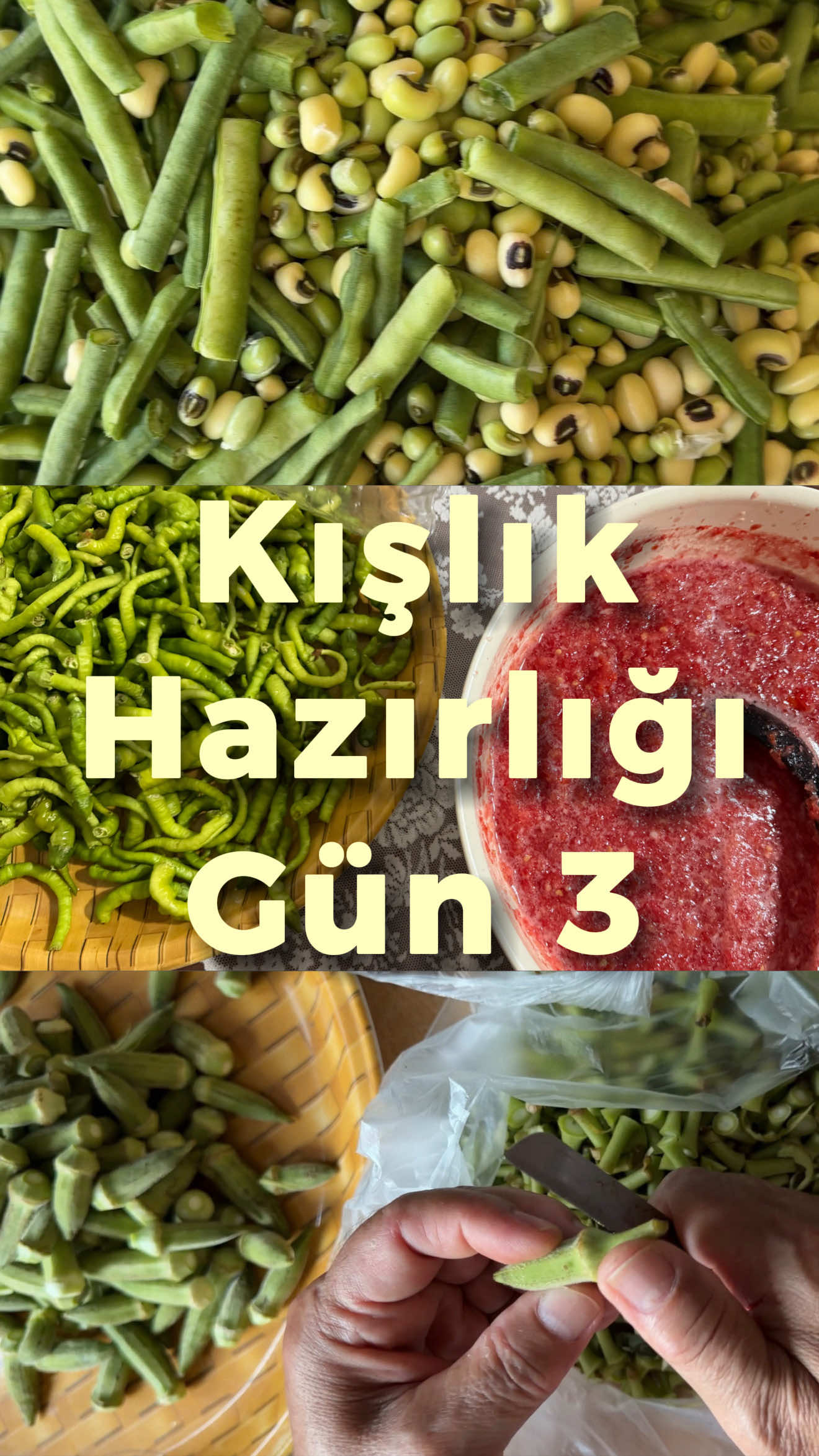 @Hande Üngörgil Molder