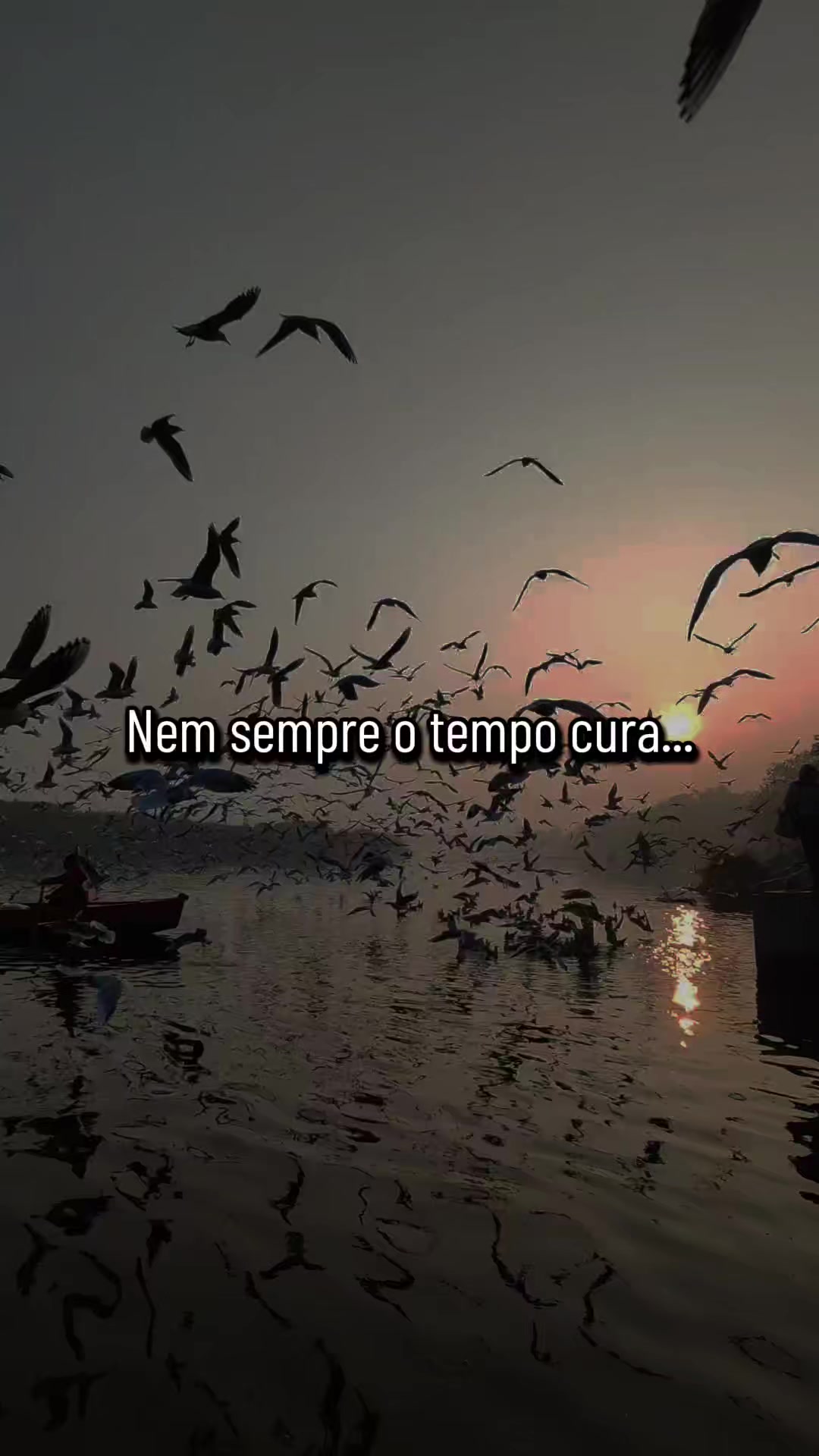 @Conselho Emocional