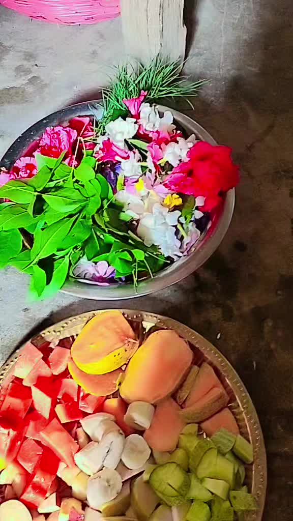 @Chandani Thakur
