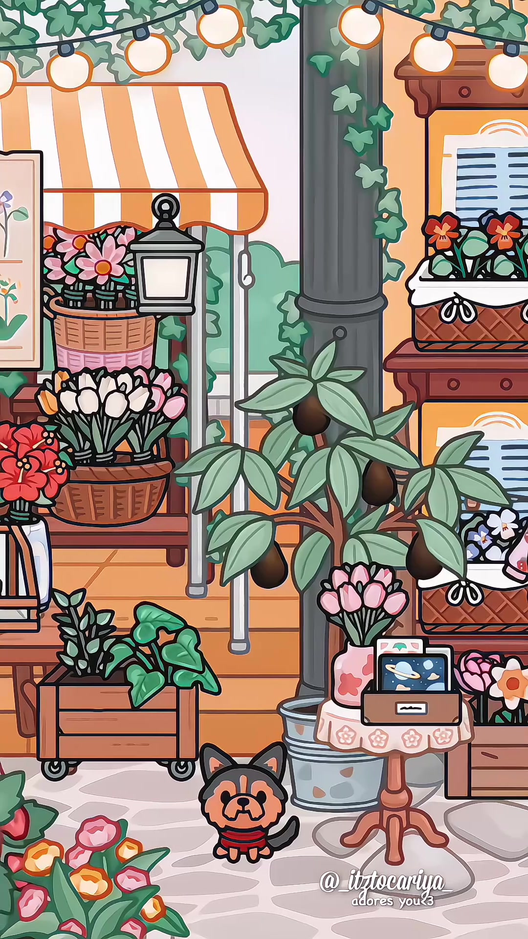 @⌗ 𝐑𝐈𝐘𝐀𝐍𝐍𝐀 ༉ 🪸ˎˊ˗