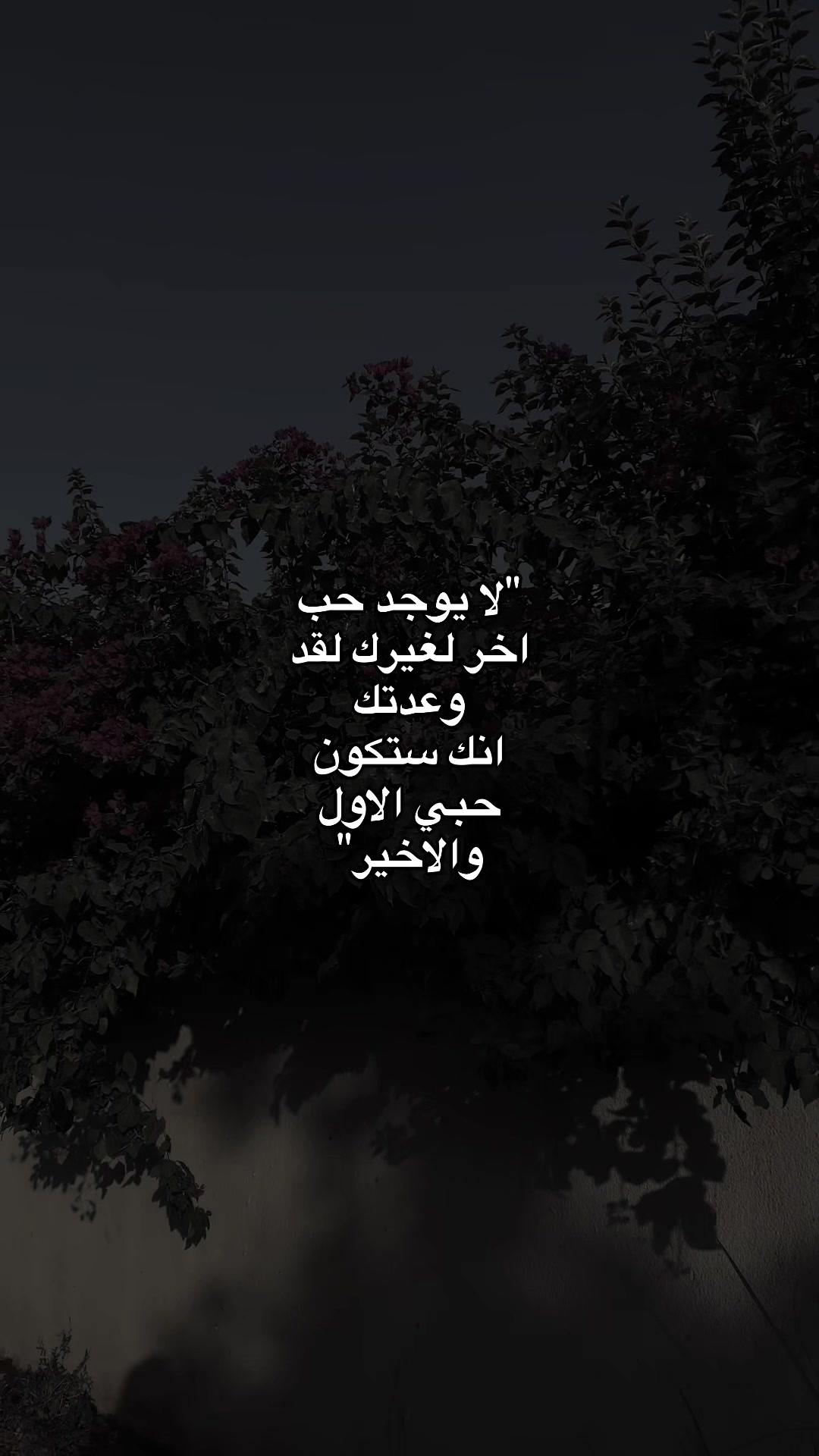 @انــــــسٓ&lsquo;&bull;&hearts;️𓏺𓏺𝒩