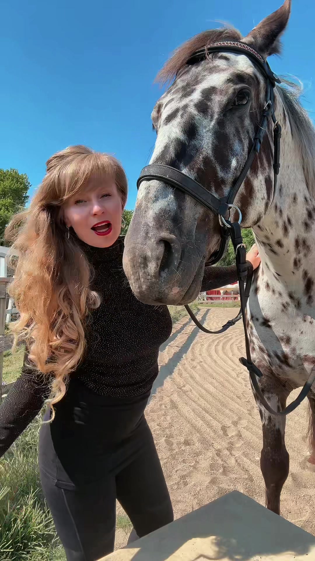 @Free Spirit Equestrian