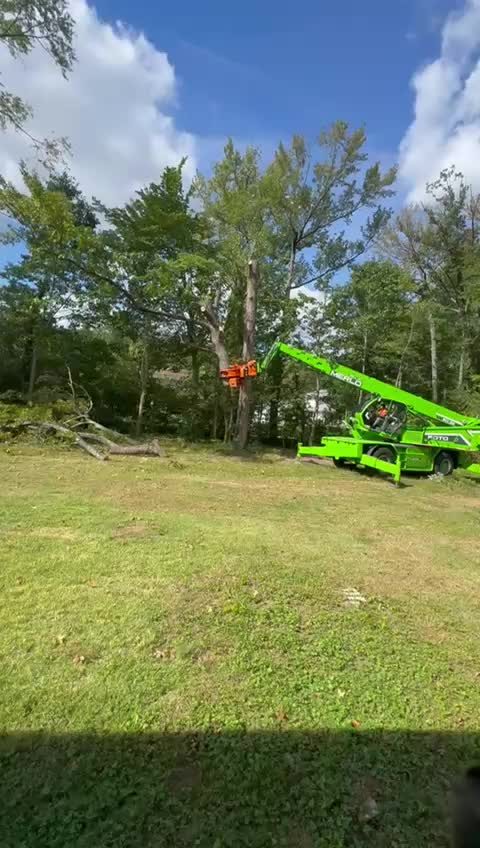 @Teto tree service