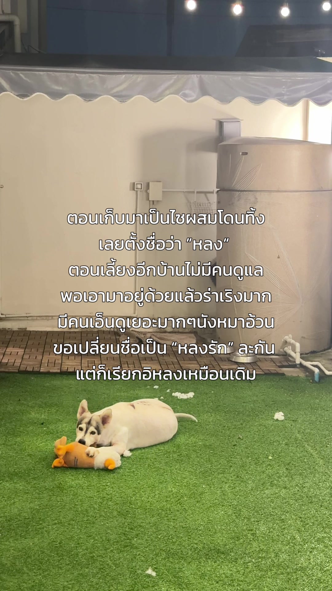 @ทัคคุณ