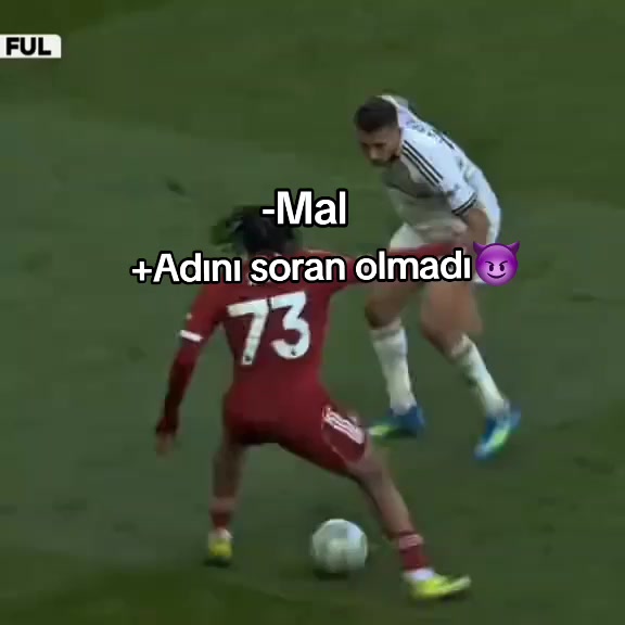 @ðð®ððð¬ððšð«ð«ðð¢ð«ð³âŽ