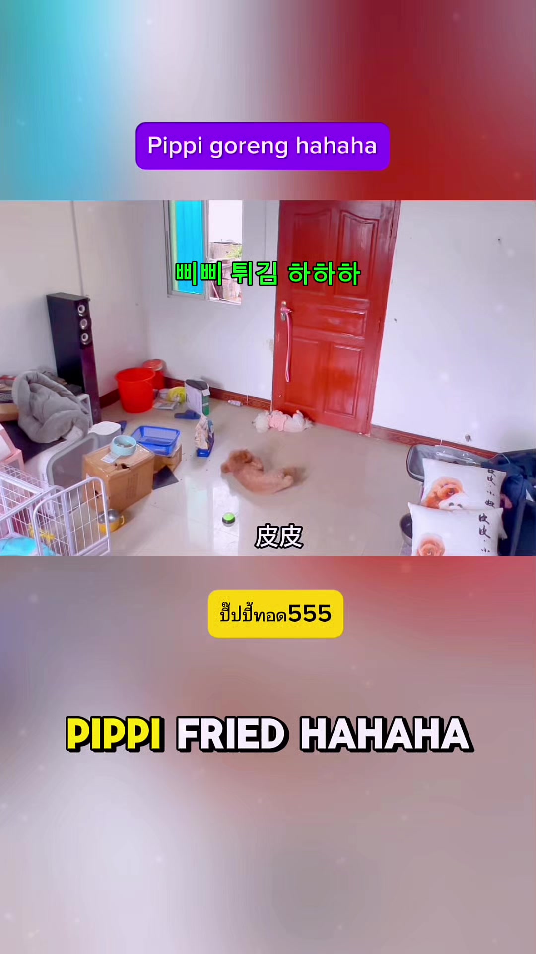@Pipi and Shanelle
