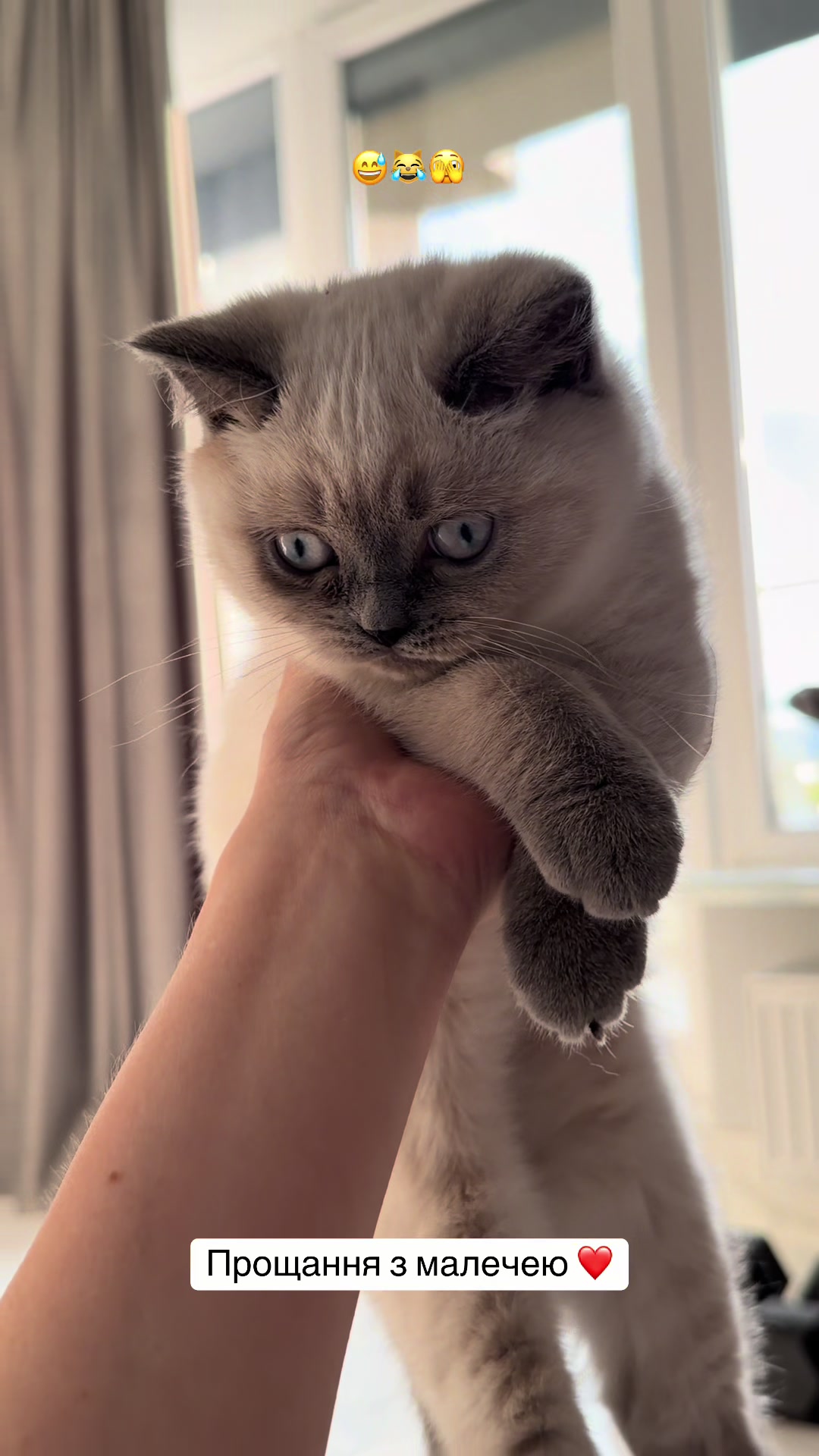 @Трускавецька киця 😻