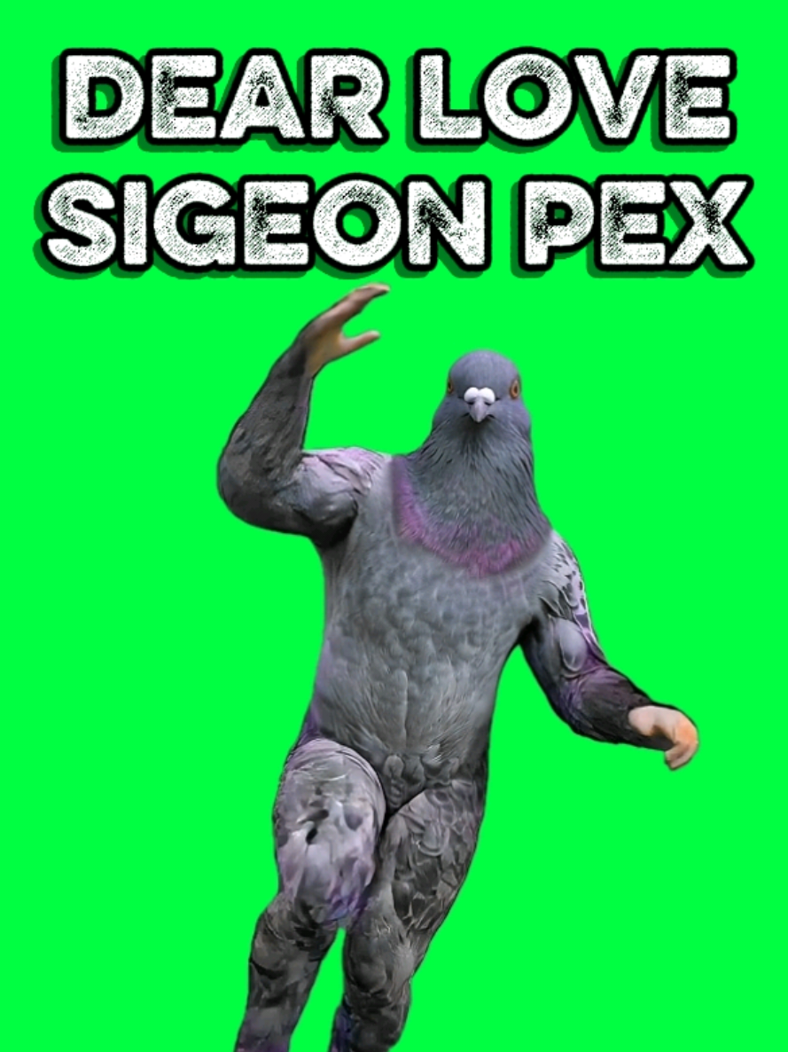 @MemeScreens