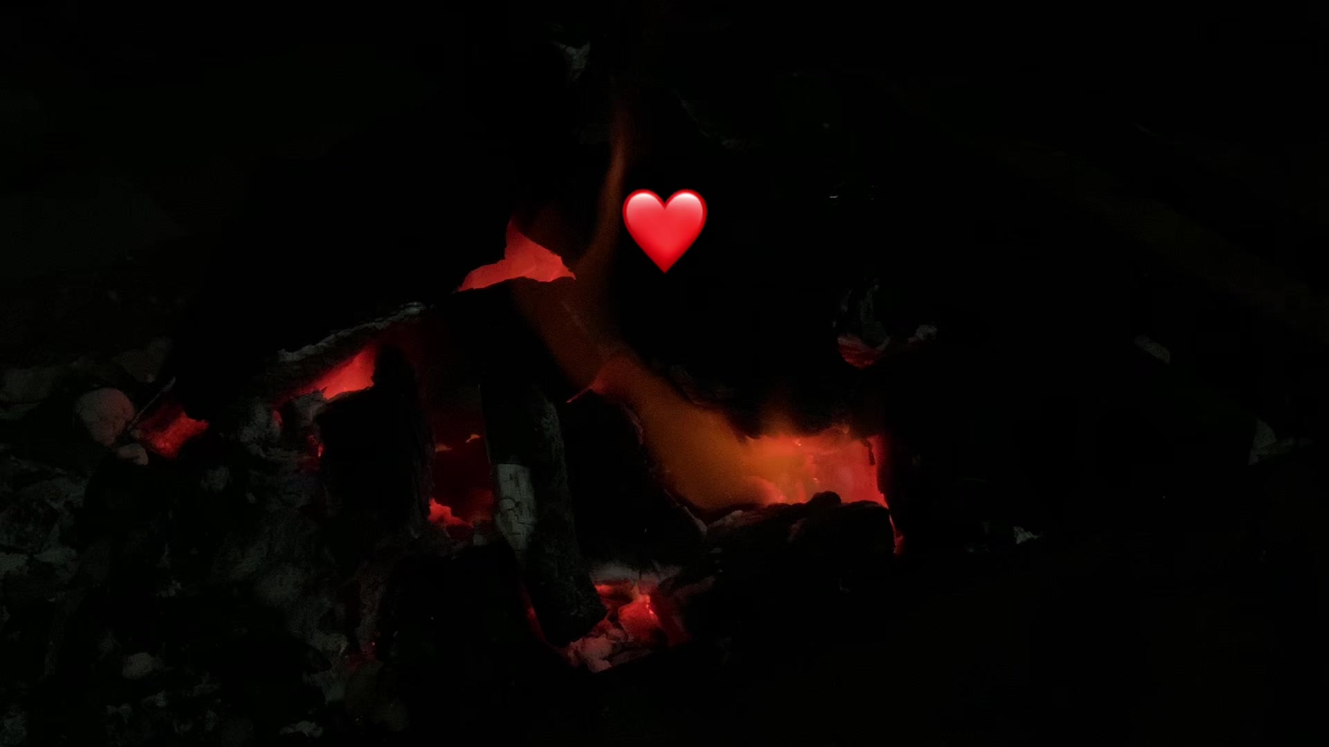 @🦇
