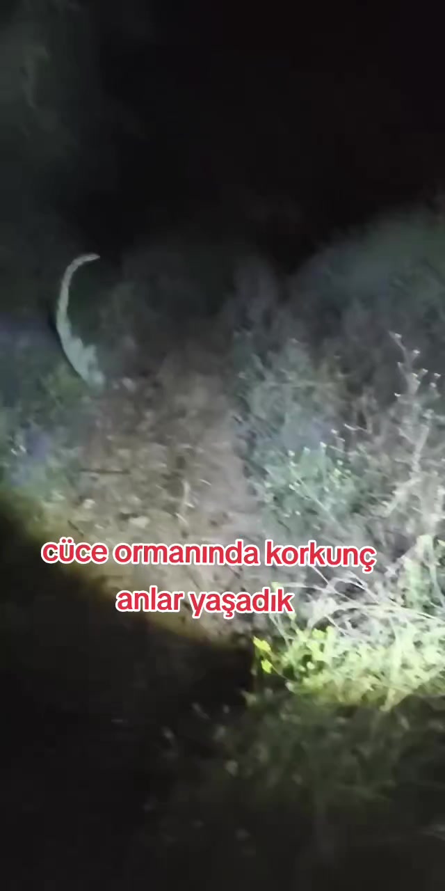 @PARANORMAL SİNAN