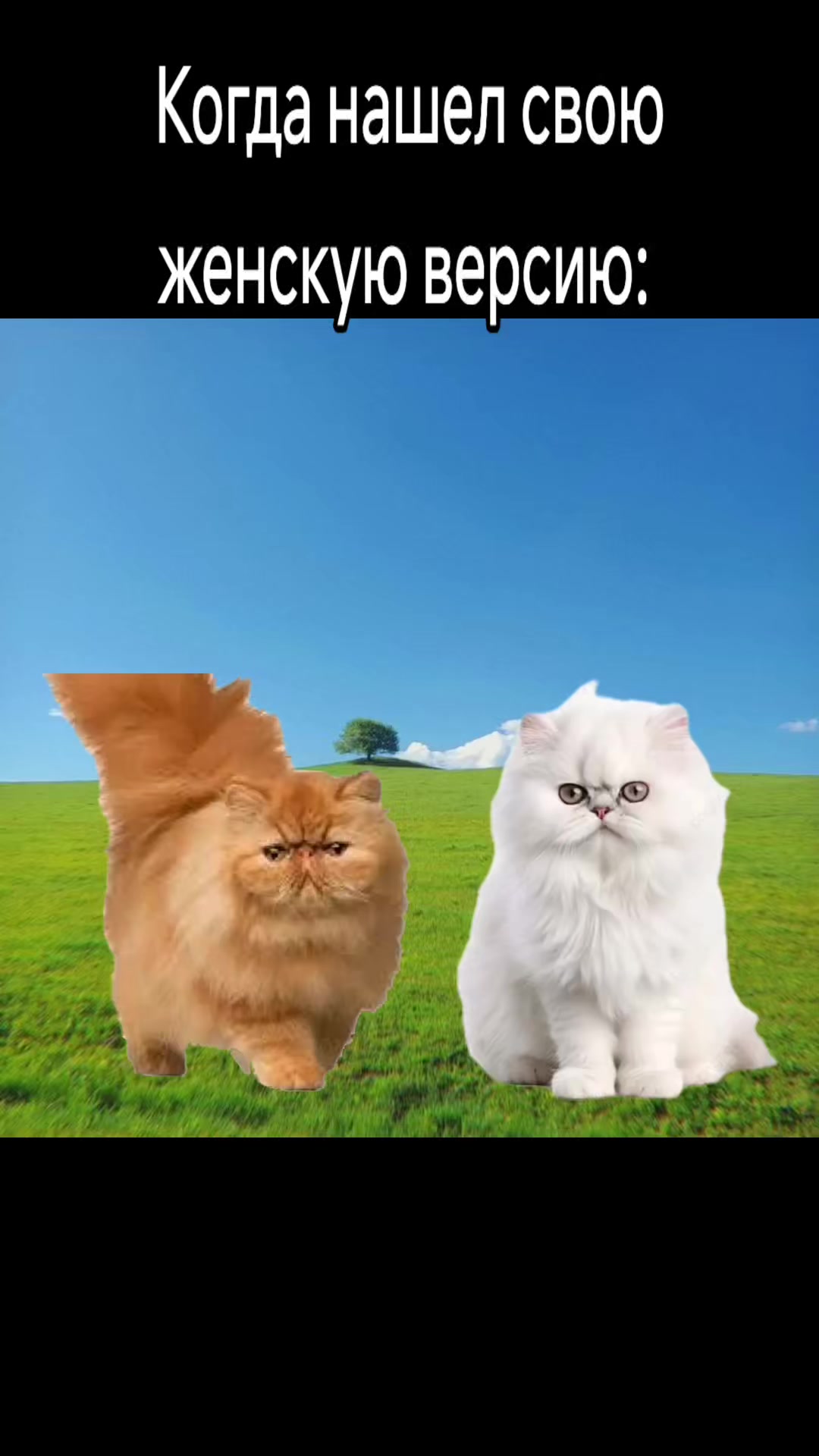 @EeehBlyaat
