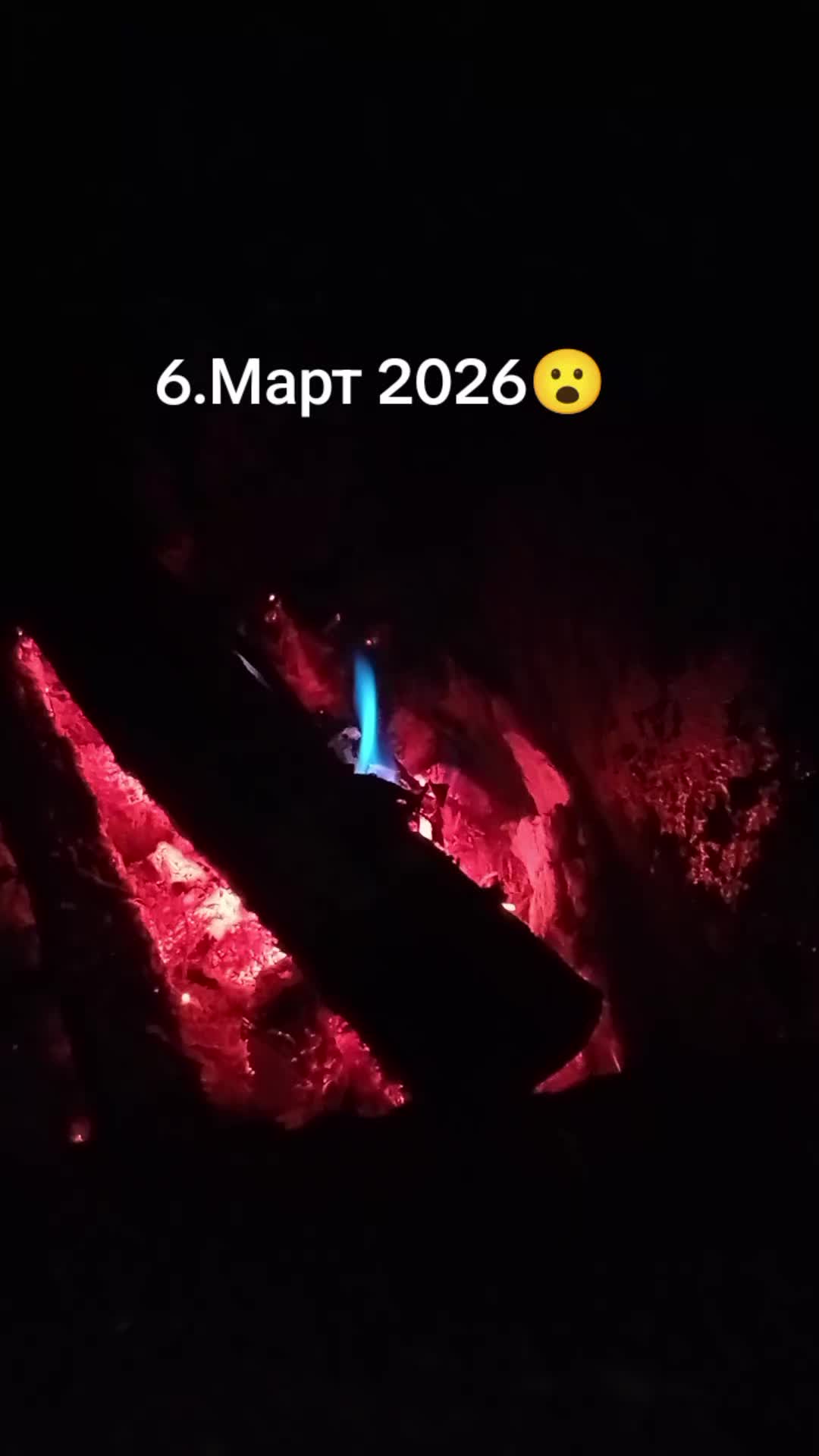 @Нешо Јовељић
