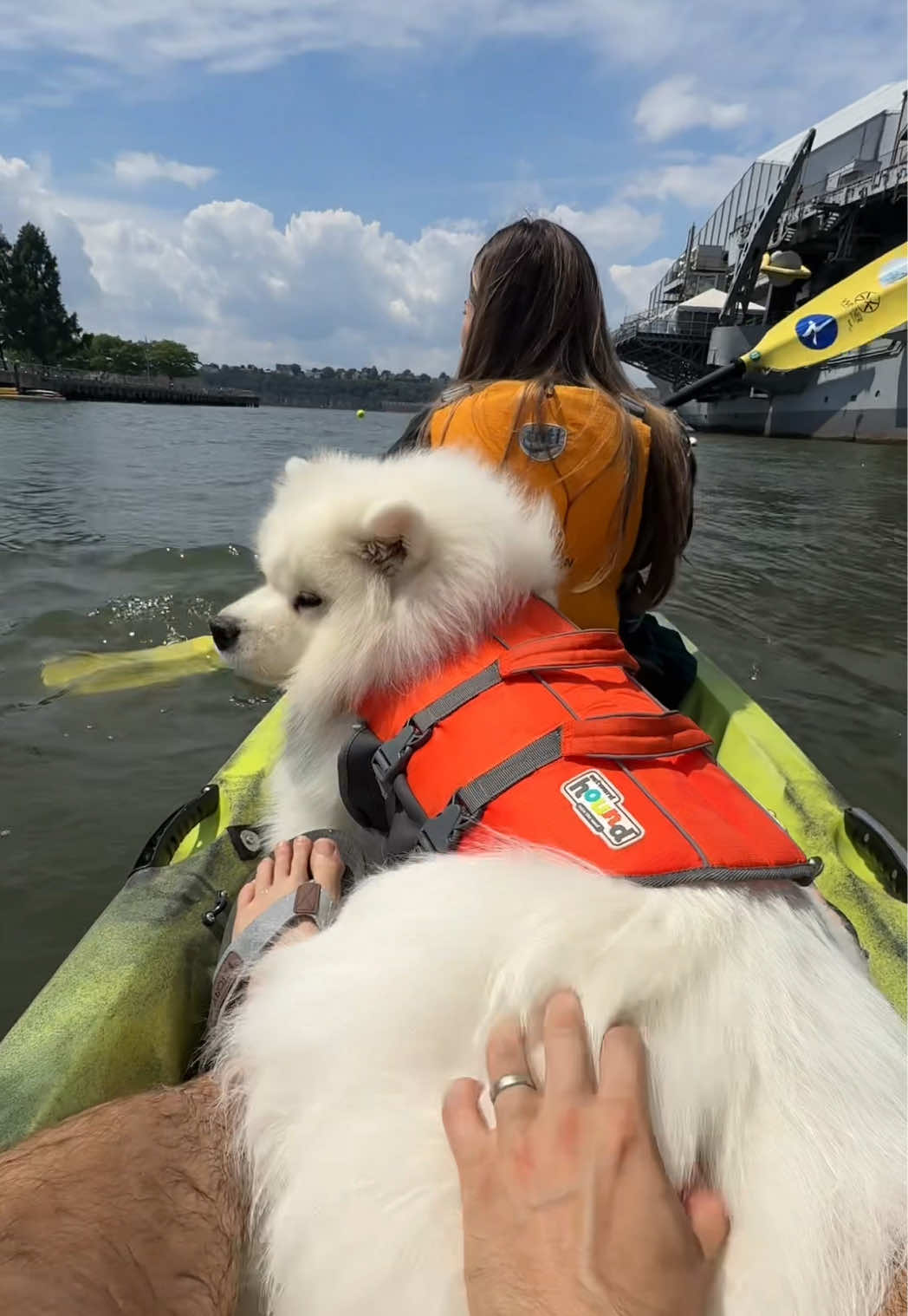@Biff the Samoyed