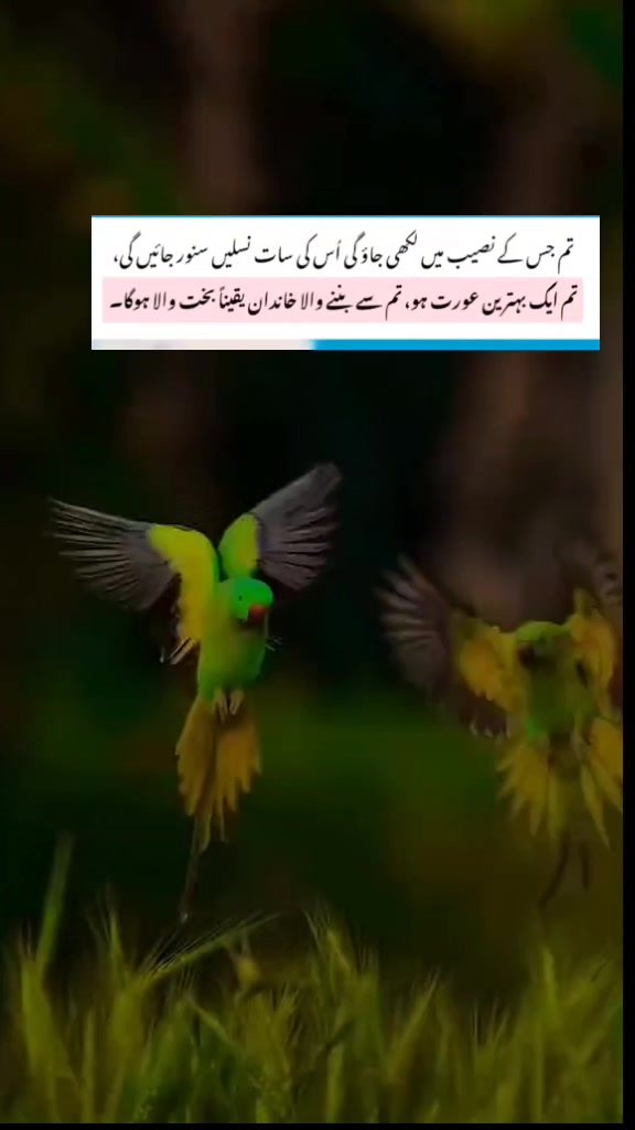 @😘✨❤️ رب سے جڑنے کا سفر ❤️✨😘