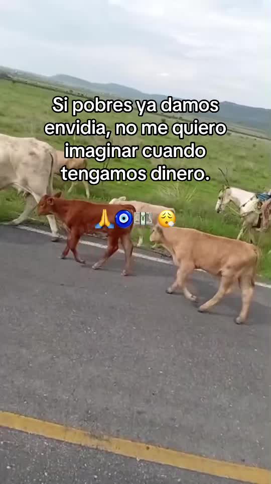 @LaMari