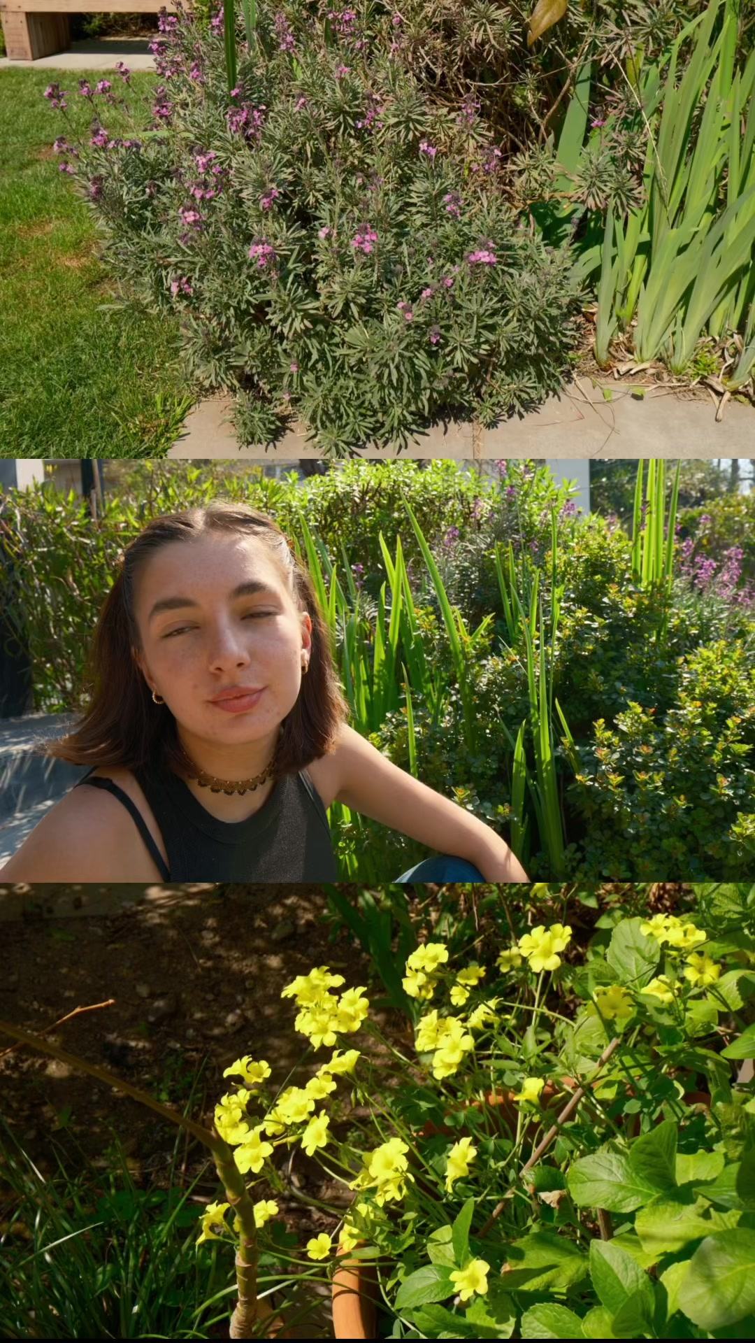 @juani