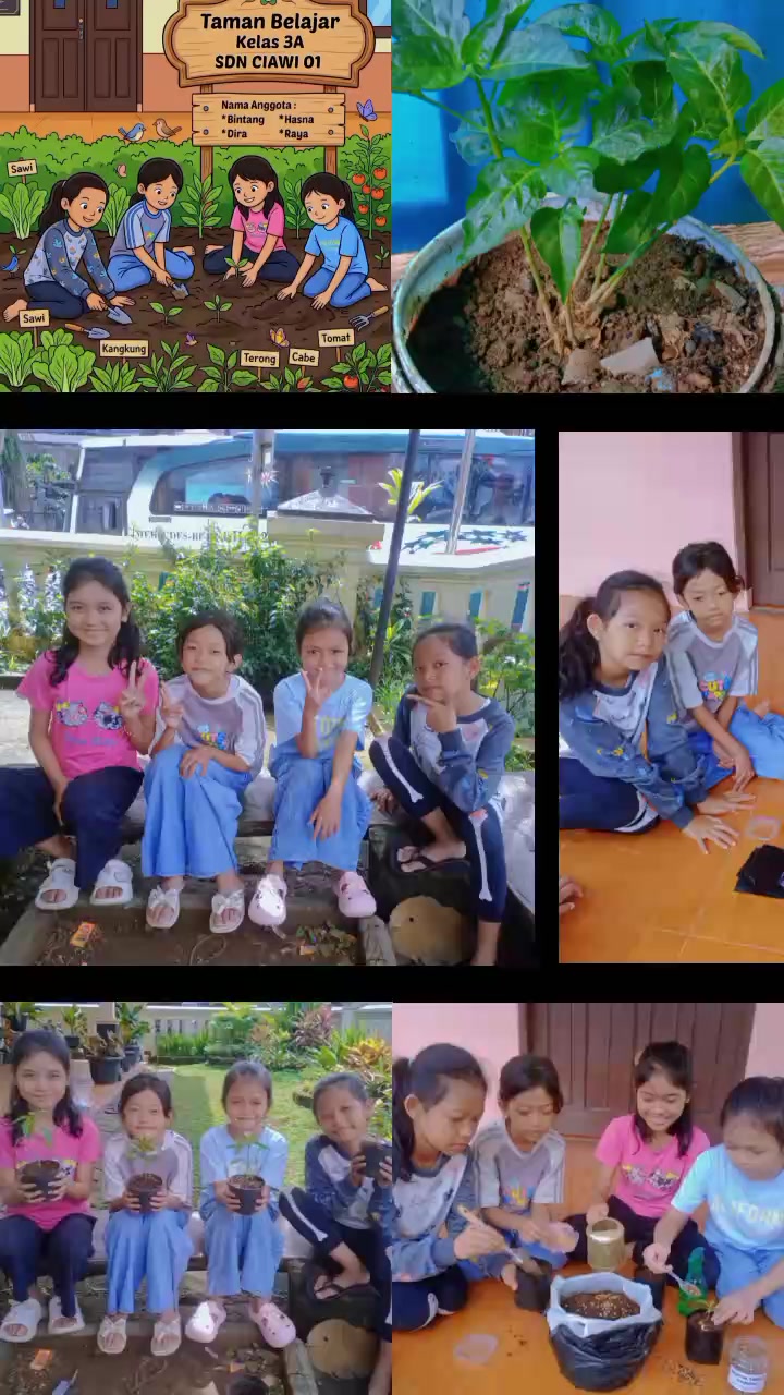 @๐ฑ 4N4BUL 93MBUL ๐ฑ