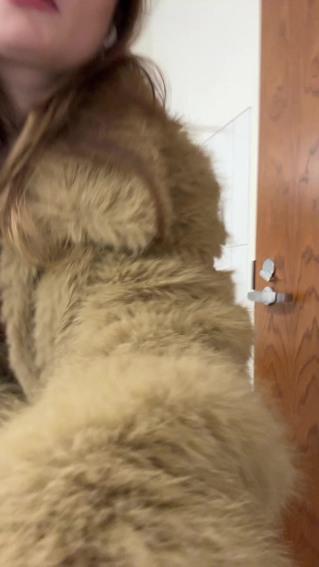 @mlem
