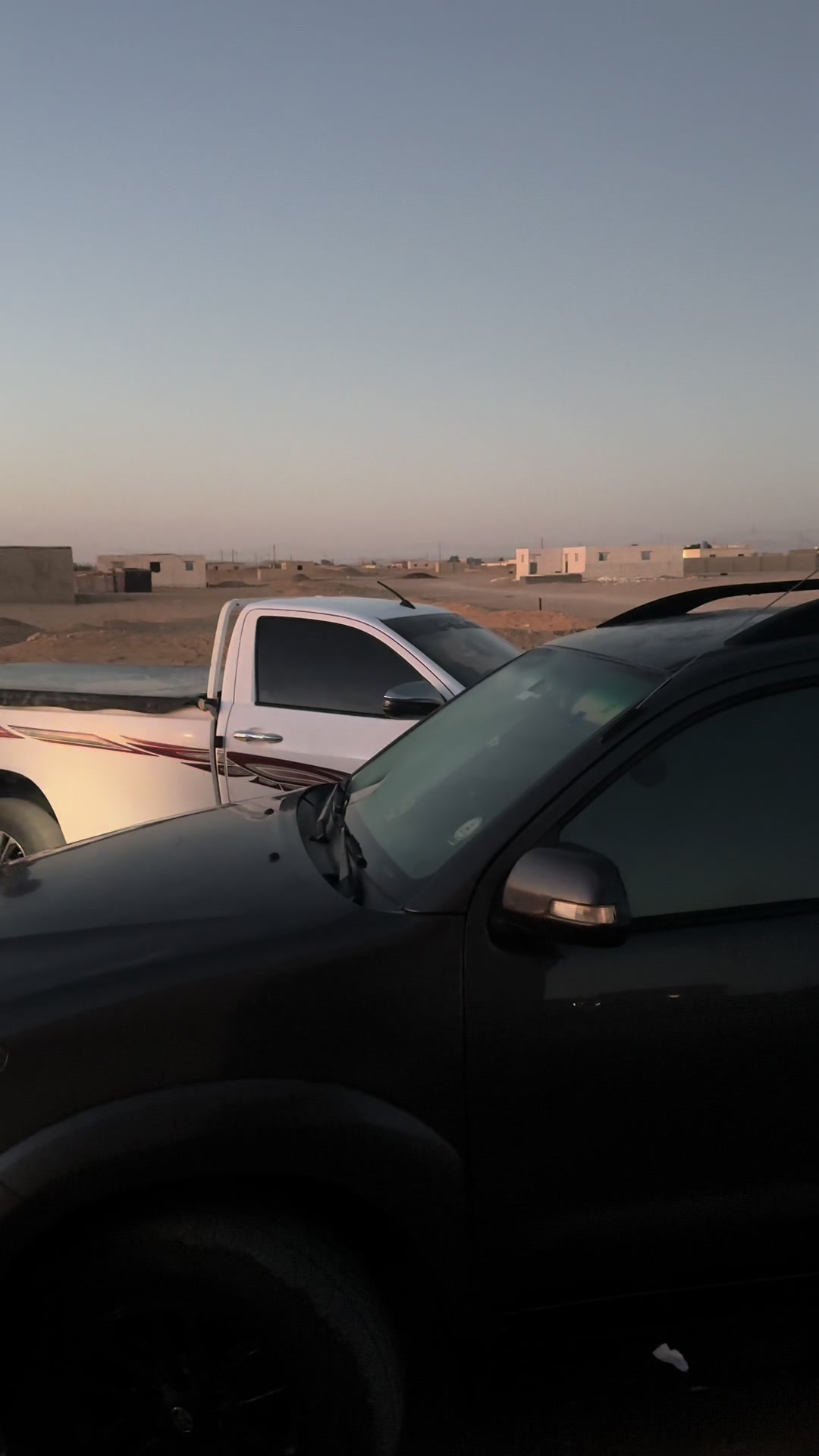 @محمدالاحيوي