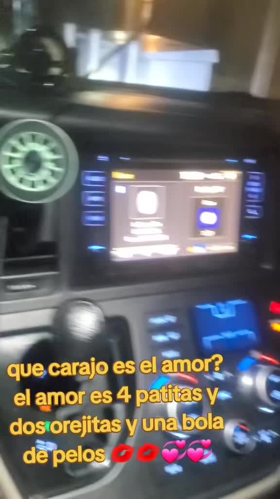 @el panda solitario