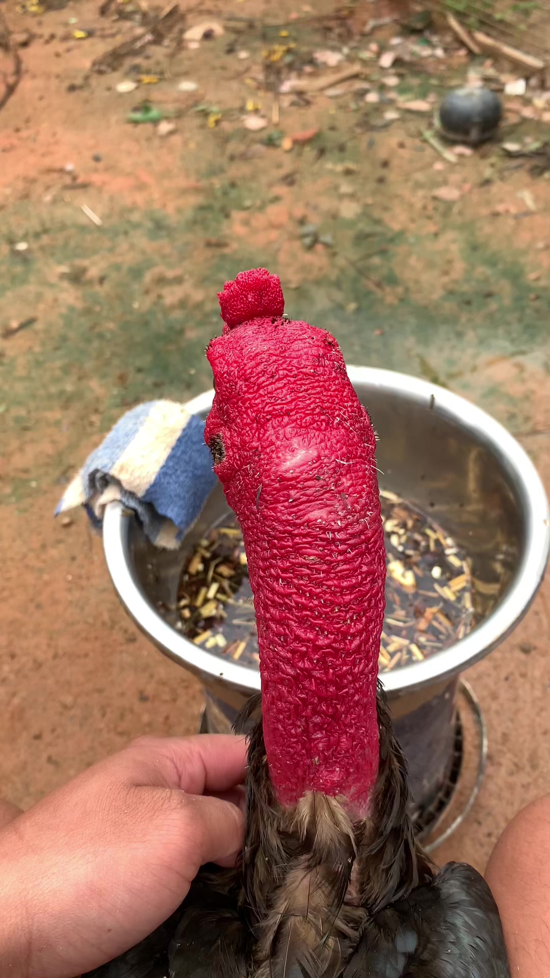 @Hưng xăm đơn dương💉💉🥰