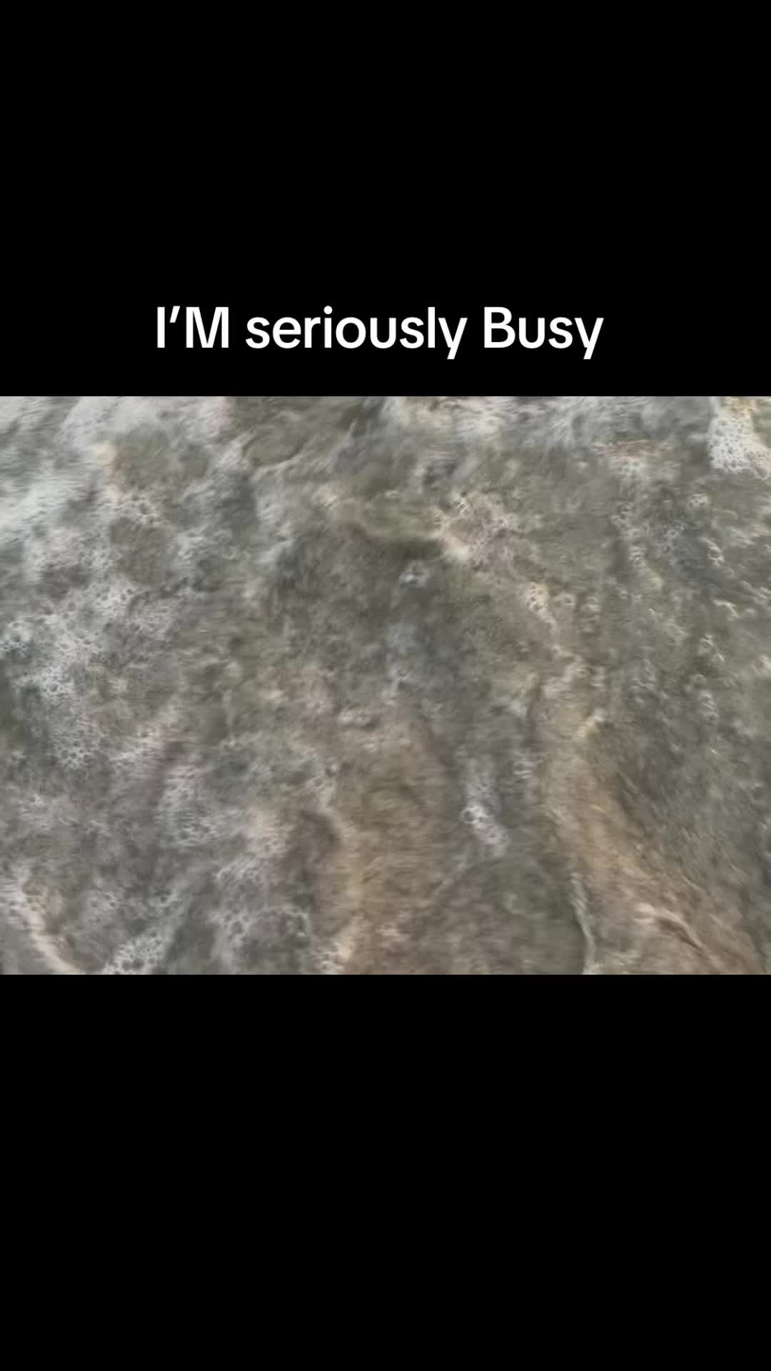 @dkbythebay