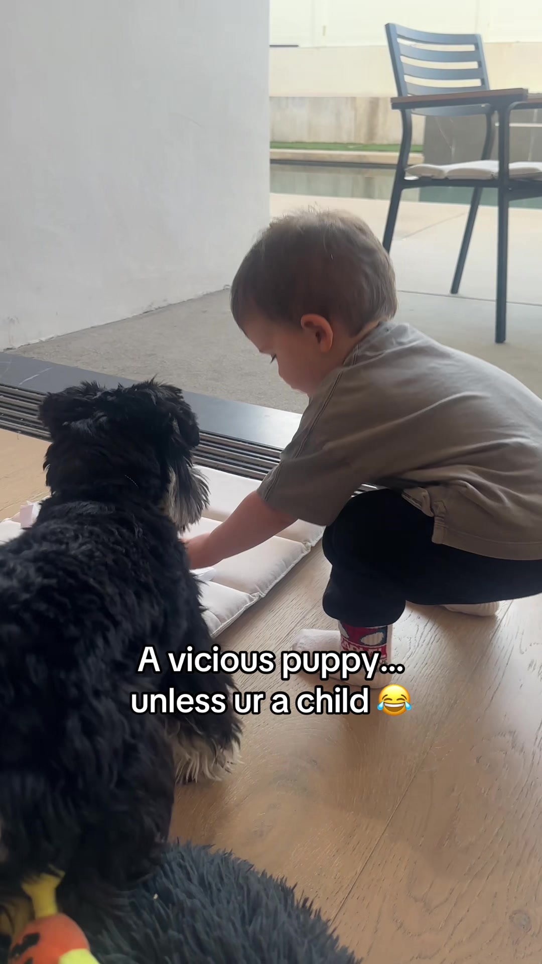 @Prince Louis 👑